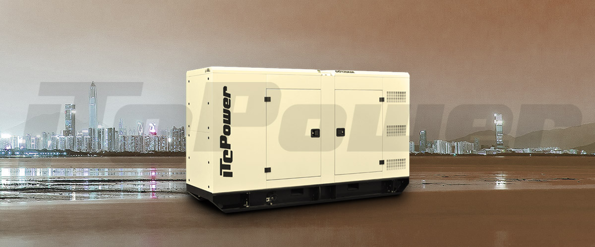What is the function of the fuel injector of a diesel generator?